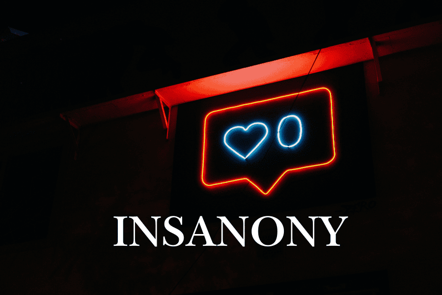 Discover Insanony: View Instagram Stories Incognito